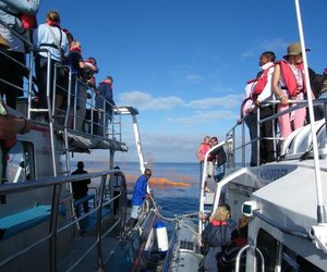 161ste Jaar vir Drenkelinge